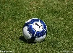 篮球巨星科,比不幸离世,享年,神殿娱乐,神殿娱乐官方网站,神殿娱乐平台