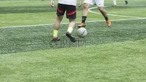 神殿娱乐 产品 083444 f0x