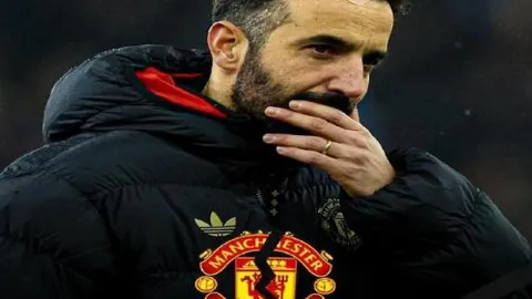 神殿娱乐 产品 102737 bly