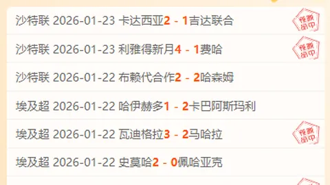 泰山队4号连场绝杀显神威，泽卡造势不辍，金永能屡现神扑，强化阵容势在必行